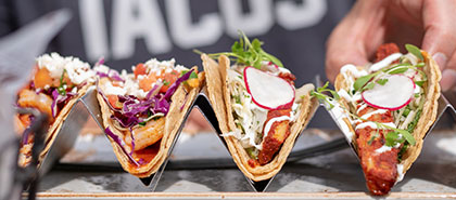 The International Taco Coalition (ITC) - Wordpress